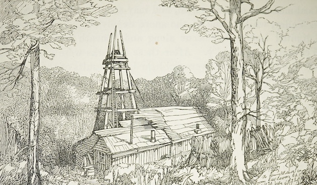 Dixon, Frederick - The Geology of Sussex; or the Geology and Fossils of the Tertiary and Cretaceous Formations of Sussex. new edition. revised and augmented by T. Rupert Jones. 65 lithographed plates (3 hand-coloured, 4